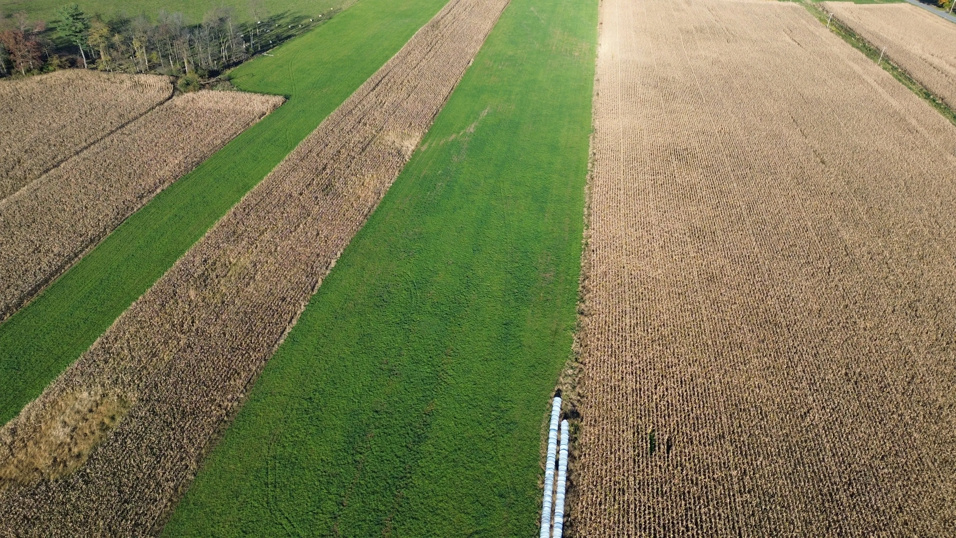 Patchwork farm fields seen from above, split by a vivid green strip of land.